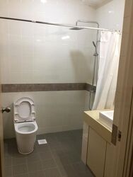 King's Road (D10), Terrace #470258741